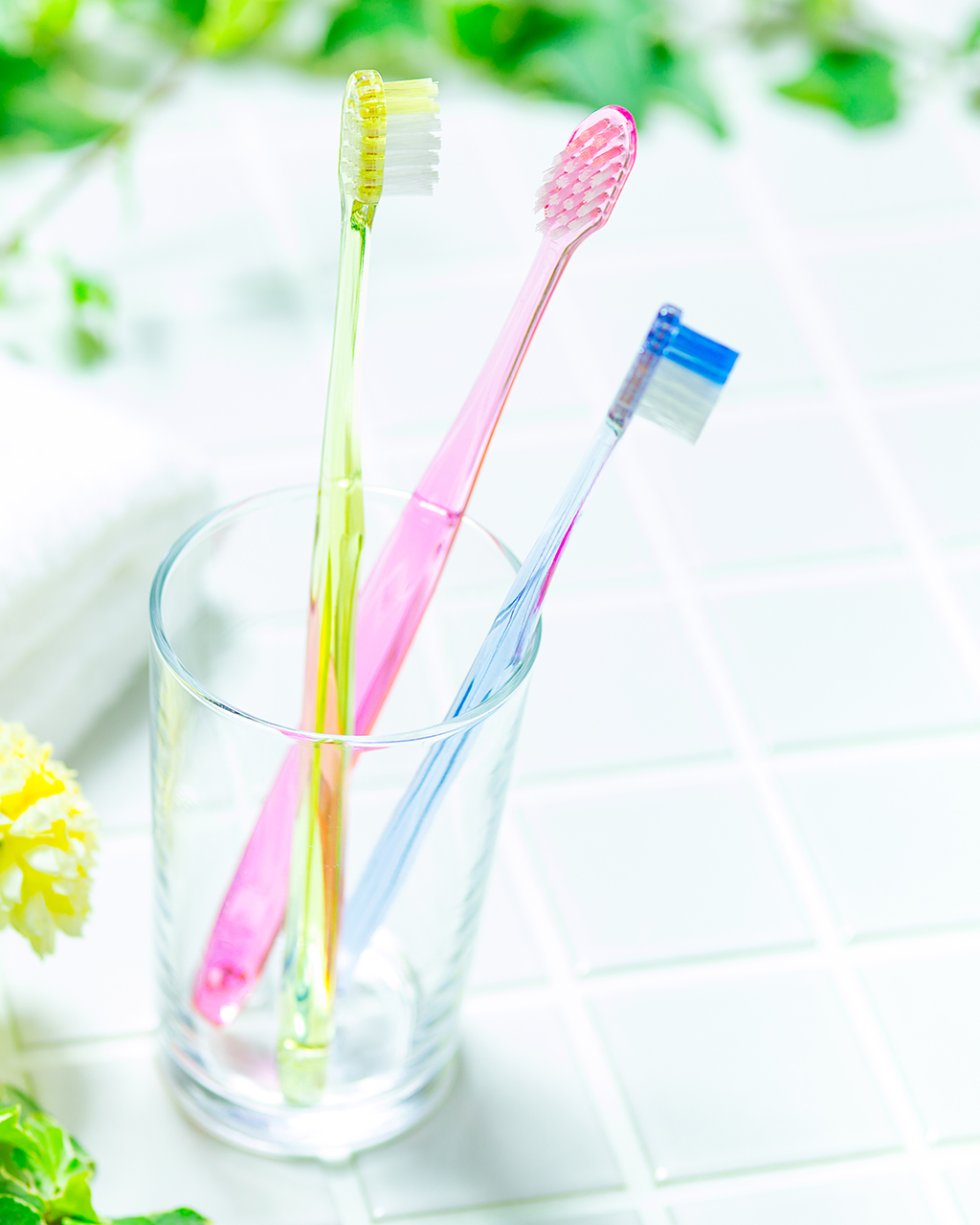 たなせこども PINES DENTAL・市川駅エリア・棚瀬 早紀